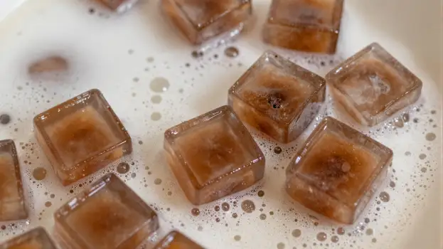 Scattered Ice Cubes on White Plate light brown