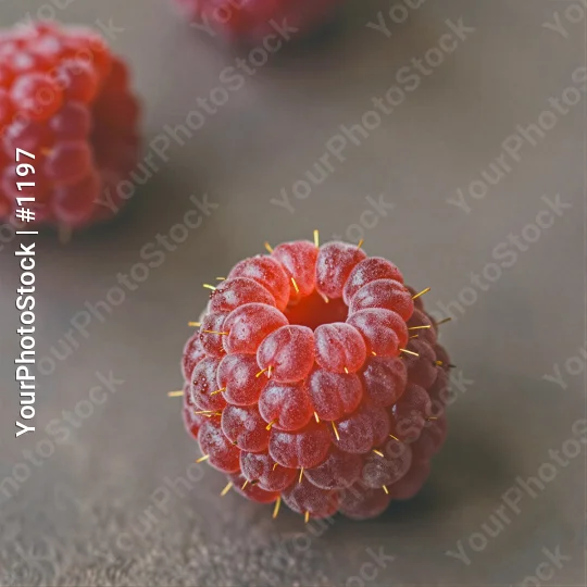 Fresh Red Raspberry Close-Up fruit food texture