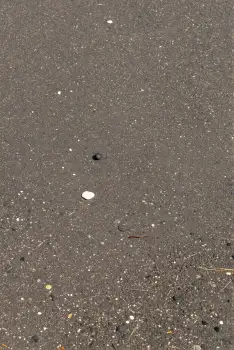 Close-up of Wet Asphalt with Speckles and Small Hole