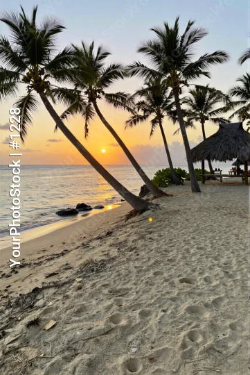 Beach Sunset with Palm Trees and Thatched Hut