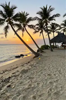 Beach Sunset with Palm Trees and Thatched Hut