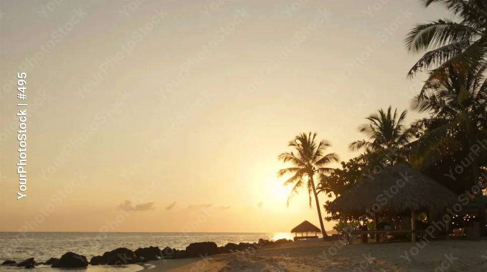 Beach Sunset Landscape palm trees thatched umbrellas