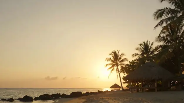 Beach Sunset Landscape palm trees thatched umbrellas