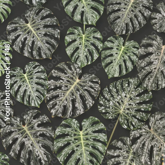 Dark Green Leaves Pattern tropical leafy