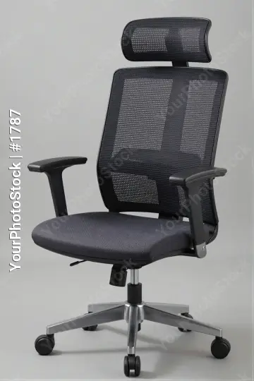 Modern Black Office Chair with Mesh Backrest and Armrests