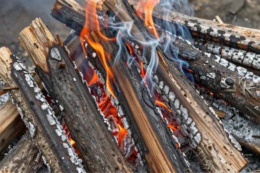Campfire Burning Close-Up wooden sticks charred