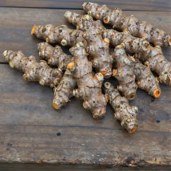 Fresh Ginger Root on Weathered Wood natural product