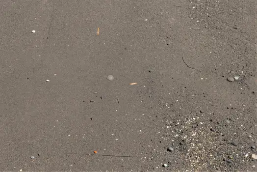 Dark Grey Sandy Beach Close-Up wet pebbles rocks
