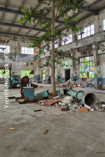 Abandoned Industrial Building with Overgrown Tree