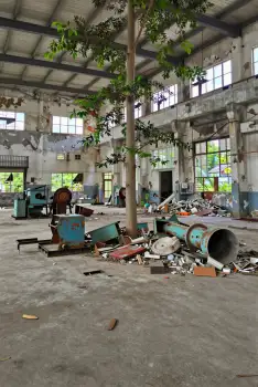 Abandoned Industrial Building with Overgrown Tree