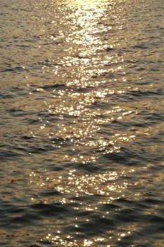 Calm Water Surface at Sunrise ripples sunset bright sunlight