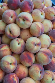 Ripe Peaches Pile Market Stall fruit round plump