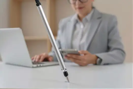 Professional Woman Working at Desk with Laptop