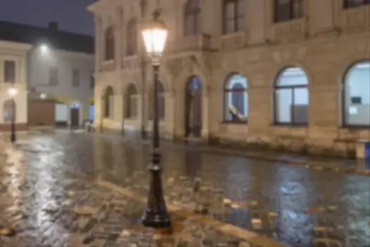 Wet Night Street with Fallen Leaves and Dilapidated Building blurred