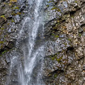 Serene Waterfall Cascading Down Rocky Cliff moss