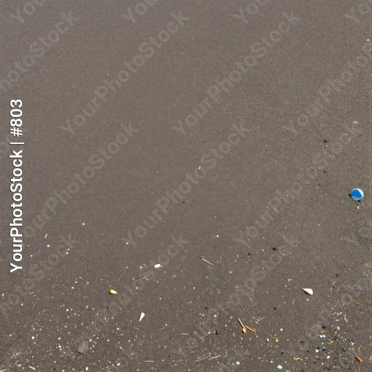 Close-up of Wet Sandy Beach with Debris and Blue Object texture