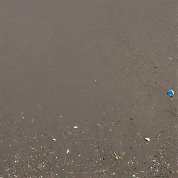 Close-up of Wet Sandy Beach with Debris and Blue Object texture