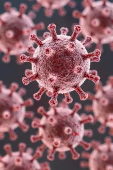 Red Viruses 3D Rendering Close-Up spikes spherical