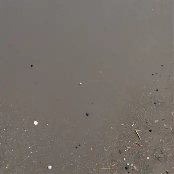 Close-up of Rough Gray Surface with Mixed Particles