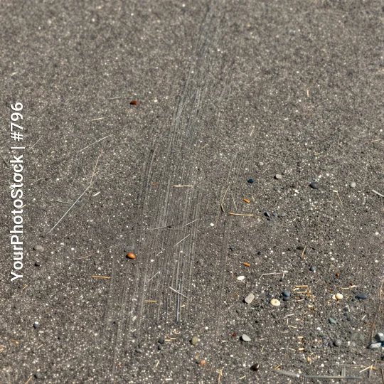 Close-up of Wet Asphalt Surface with Diagonal White Lines