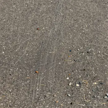 Close-up of Wet Asphalt Surface with Diagonal White Lines