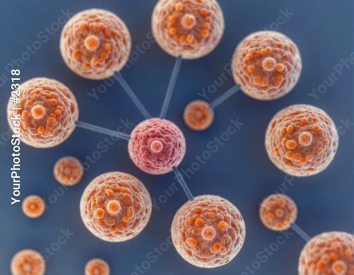 Visualization of Interconnected Cellular Network or Molecular Structure