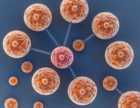 Visualization of Interconnected Cellular Network or Molecular Structure