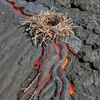 Volcanic Lava Flow with Nest-like Sticks volcano