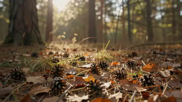 Autumn Forest Floor Covered in Fallen Leaves and Pine Cones