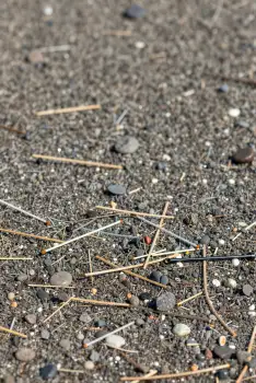 Close-up of chaotic asphalt ground with rocks and twisted sticks