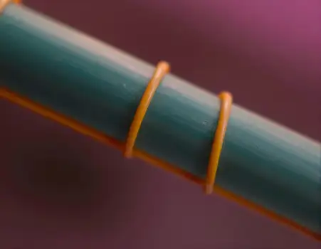 Microscopic Science Shot Element detail educational