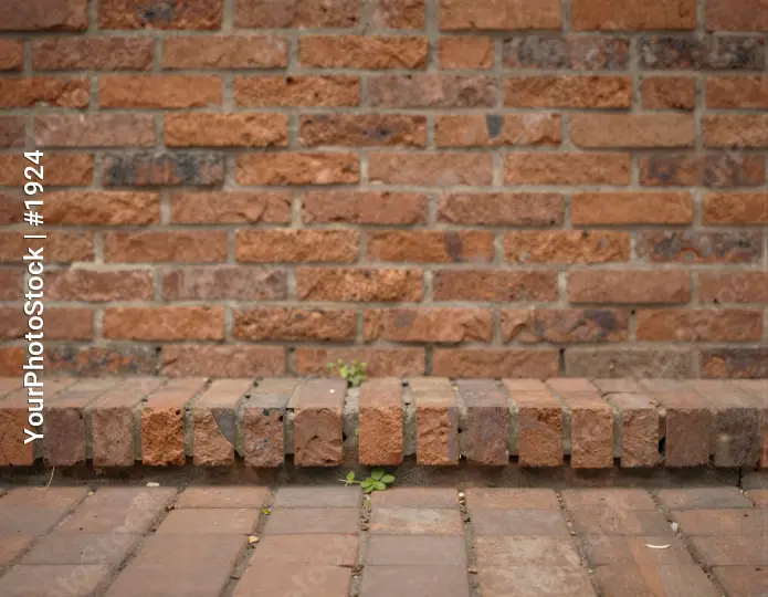 Old Red Brick Wall with Plant Growth weathered
