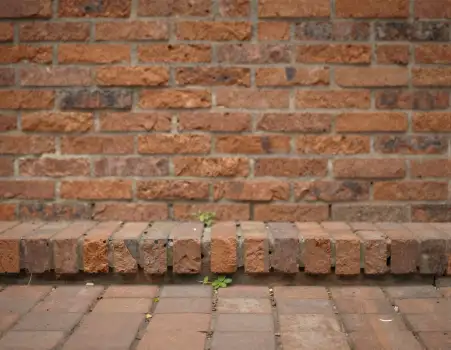 Old Red Brick Wall with Plant Growth weathered