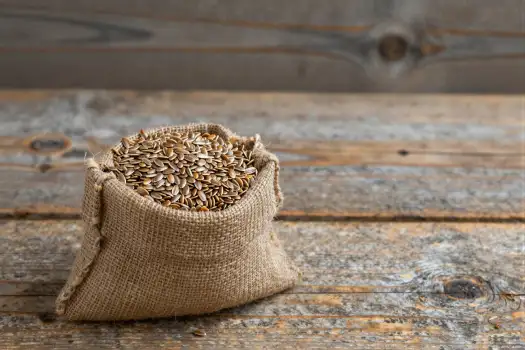 Rustic Wooden Table with Sunflower Seeds burlap sack