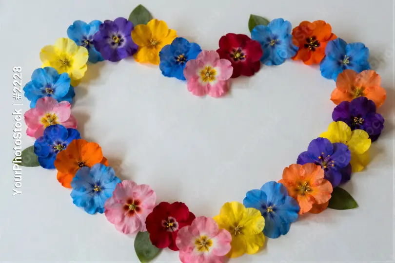Heart-Shaped Flower Arrangement heart shaped vibrant colors