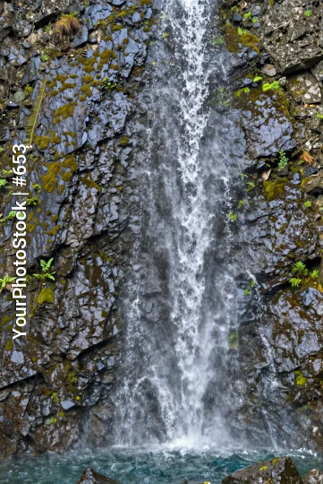 Serene Waterfall Cascading Down Rocky Cliff moss