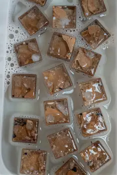 Chocolate-Coated Ice Cubes in Tray grid rich dark brown