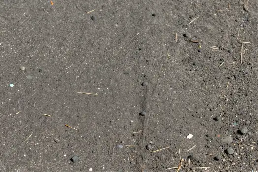 Footprint in Black Asphalt with Debris rock pebble