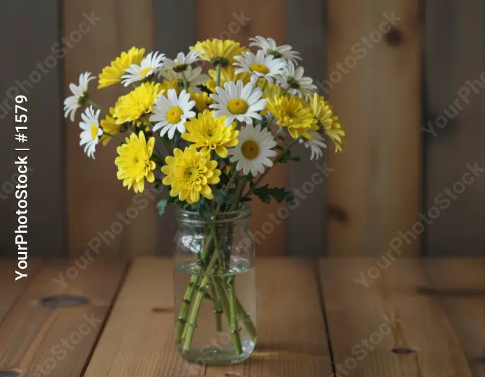 Yellow and White Daisies in a Glass Vase on Wooden Table