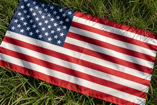 USA United States Flag on Green Grass Bed usa flag red white blue