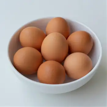 White Bowl with Six Brown Eggs Arranged in Circle