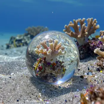 Crystal Ball Revealing Coral Reef Underwater sandy beach