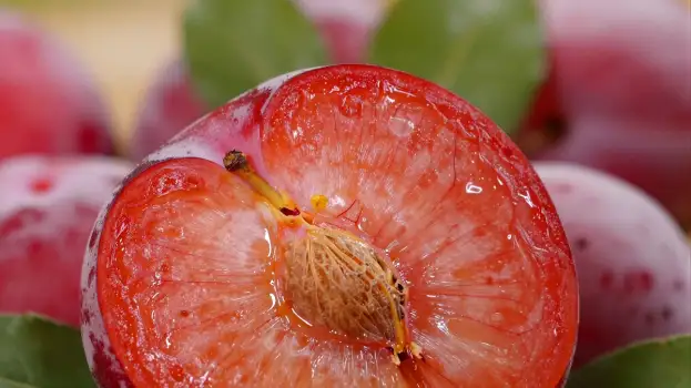 Red Peach Half Slice with Water Droplets juicy