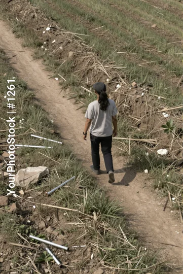 Person Walking on Dirt Path in Field tall grass