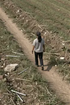 Person Walking on Dirt Path in Field tall grass
