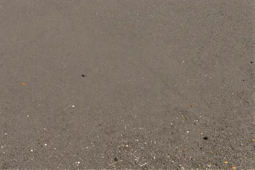 Grayish-brown textured asphalt or concrete surface with scattered