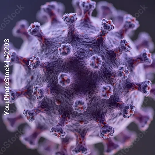 Scientific 3D Visualization of Viral Pathogen Particle