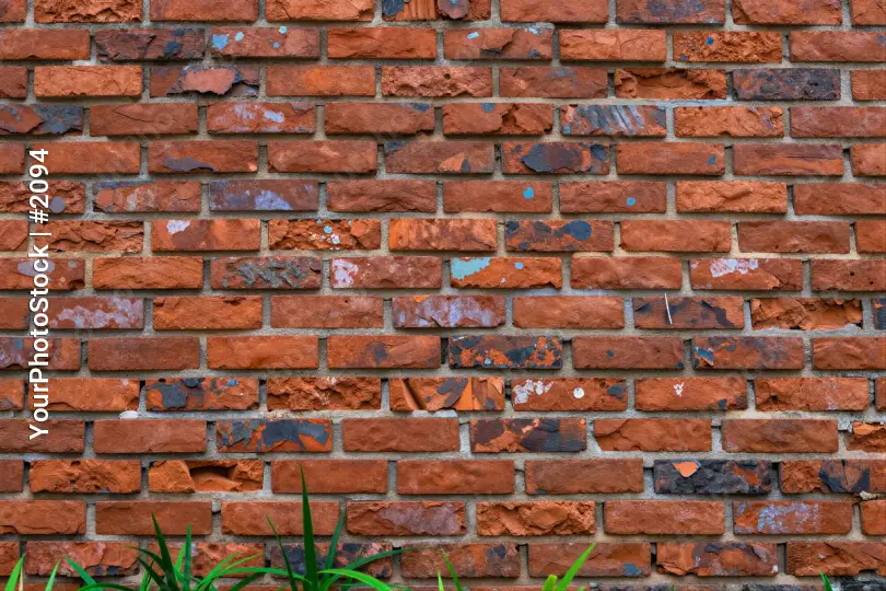 Old Brick Wall with Peeling Colors and Green Plants