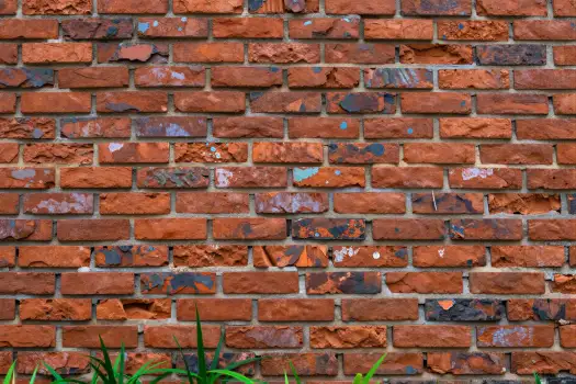 Old Brick Wall with Peeling Colors and Green Plants