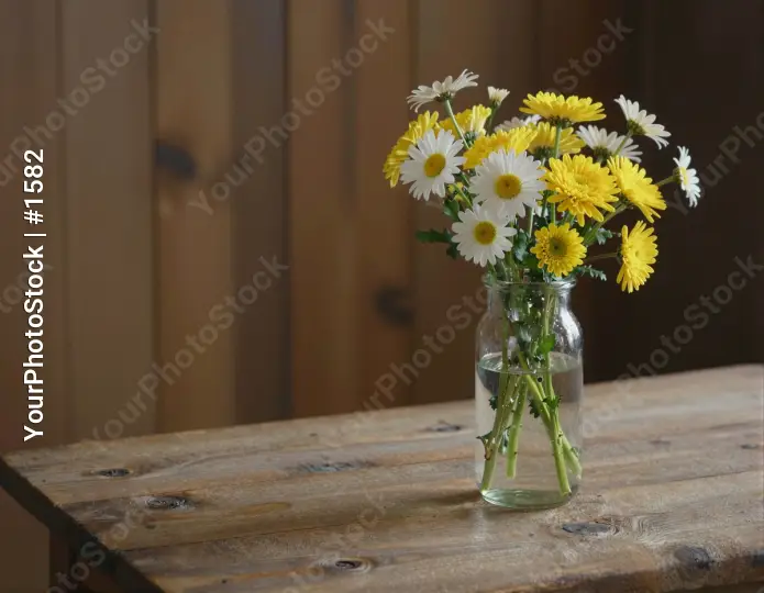 Cheerful Yellow and White Daisies on Wooden Table
